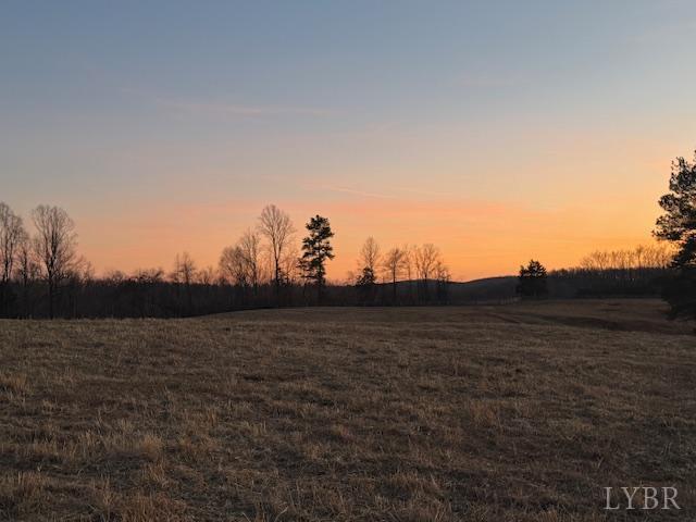 7 Piney Mountain Road Appomattox, VA 24522 - Photo 22 of 24 a view of mountain