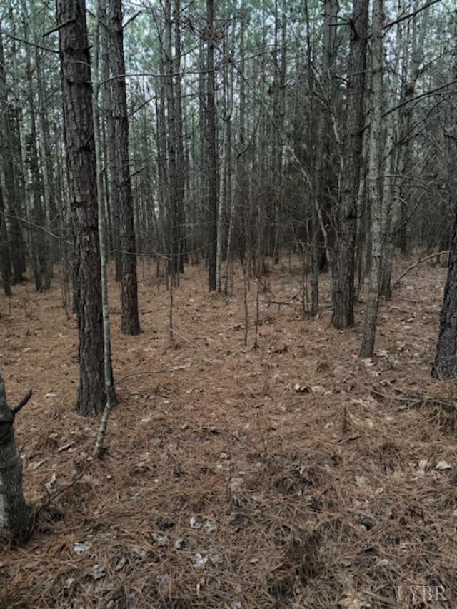 7 Piney Mountain Road Appomattox, VA 24522 - Photo 9 of 24 a view of a forest with trees in the background