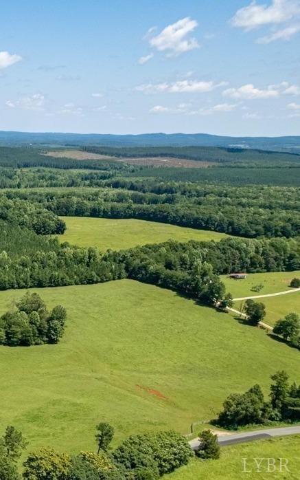 7 Piney Mountain Road Appomattox, VA 24522 - Photo 9 of 24 a view of an ocean and beach