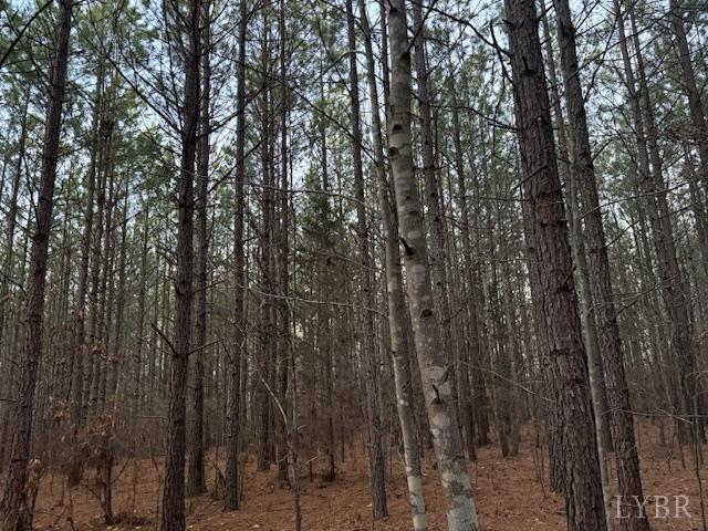 7 Piney Mountain Road Appomattox, VA 24522 - Photo 10 of 24 a view of forest