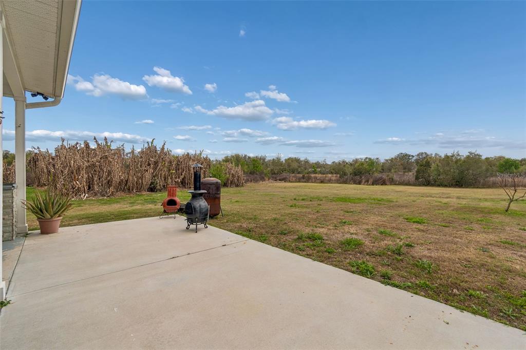 5614 Pless Road Plant City, FL 33565 - Photo 59 of 98