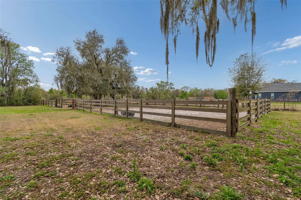 5614 Pless Road Plant City, FL 33565 - Photo 61 of 98