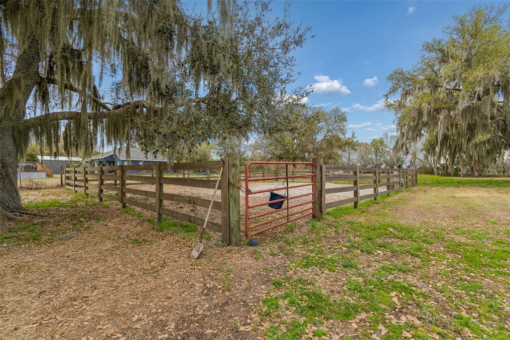 5614 Pless Road Plant City, FL 33565 - Photo 63 of 98