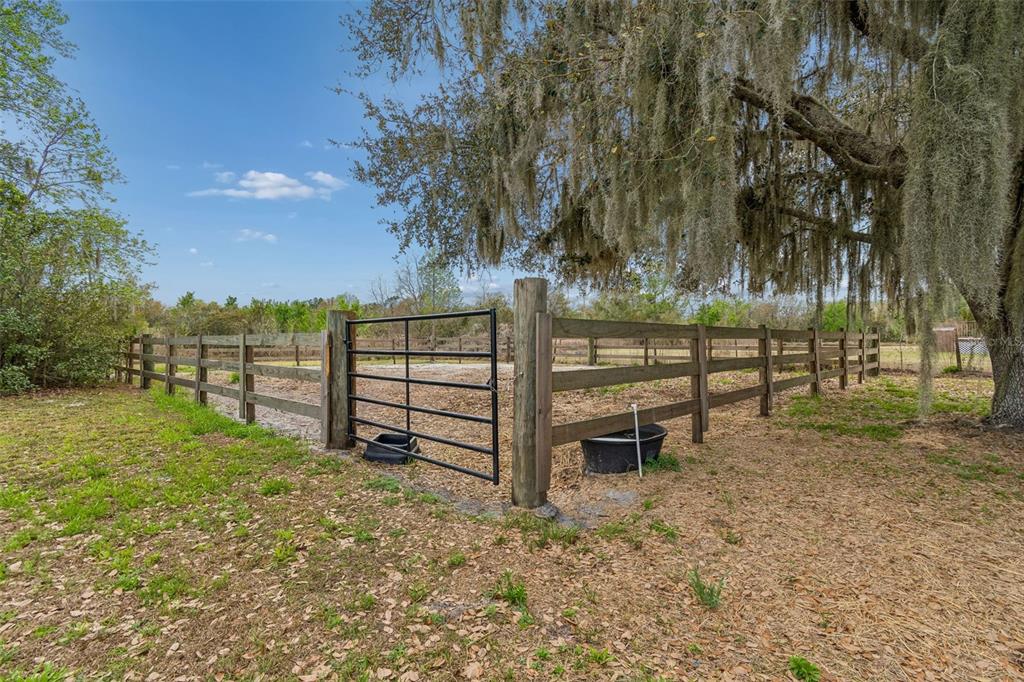 5614 Pless Road Plant City, FL 33565 - Photo 64 of 98