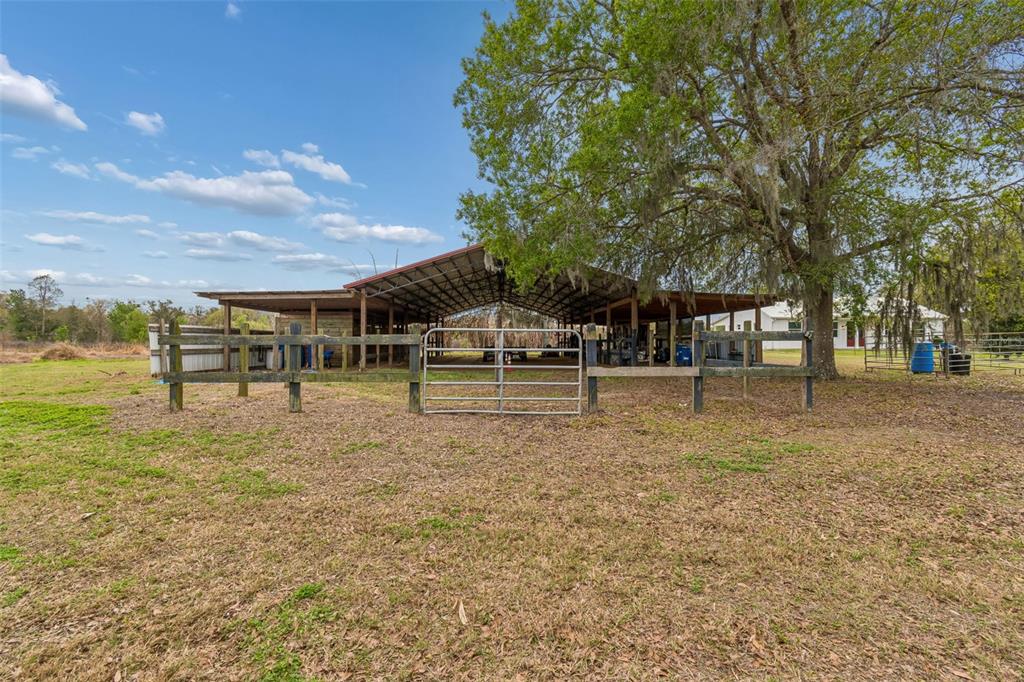 5614 Pless Road Plant City, FL 33565 - Photo 65 of 98