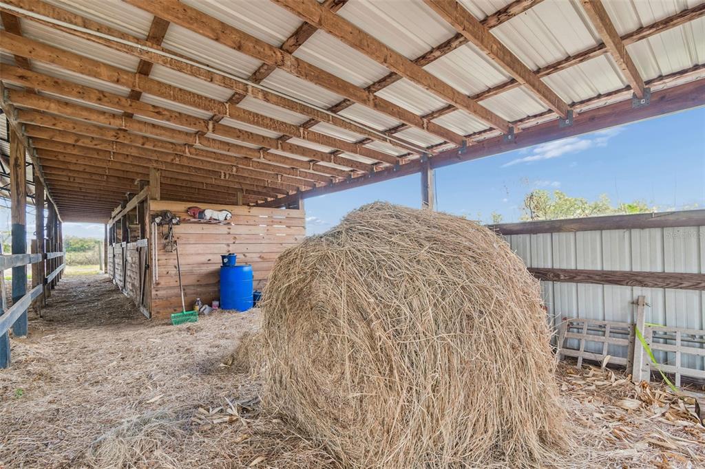 5614 Pless Road Plant City, FL 33565 - Photo 72 of 98