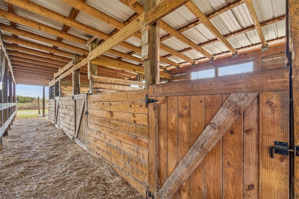 5614 Pless Road Plant City, FL 33565 - Photo 73 of 98