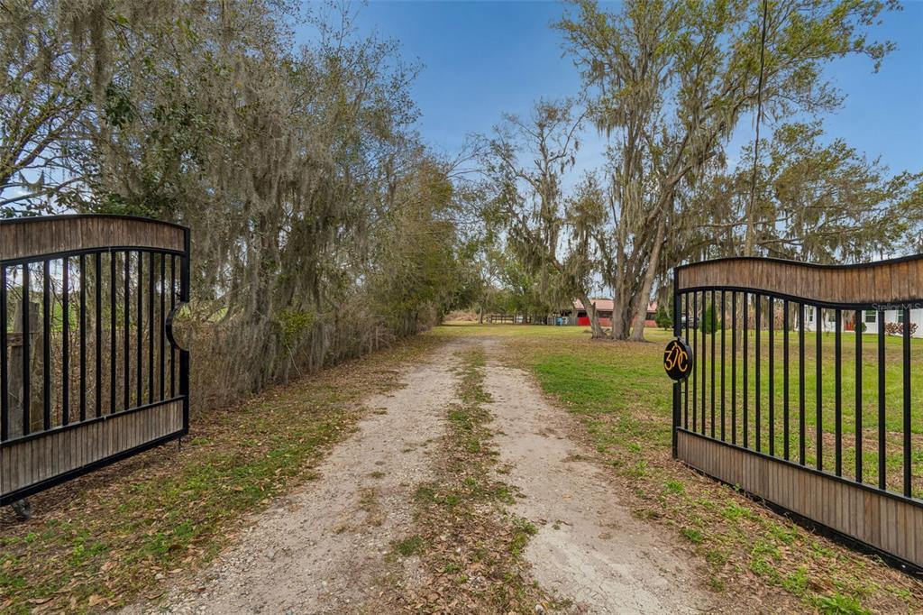 5614 Pless Road Plant City, FL 33565 - Photo 77 of 98