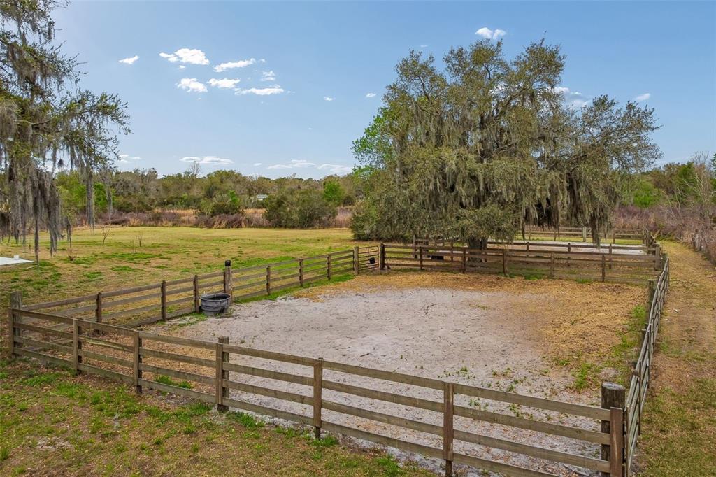 5614 Pless Road Plant City, FL 33565 - Photo 82 of 98