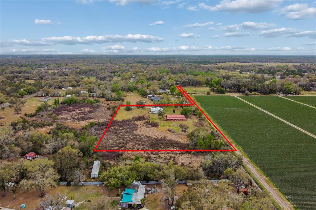 5614 Pless Road Plant City, FL 33565 - Photo 92 of 98