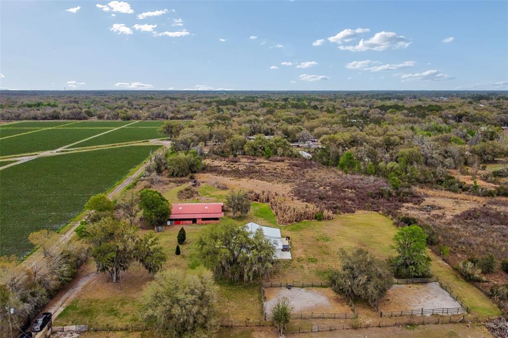 5614 Pless Road Plant City, FL 33565 - Photo 96 of 98