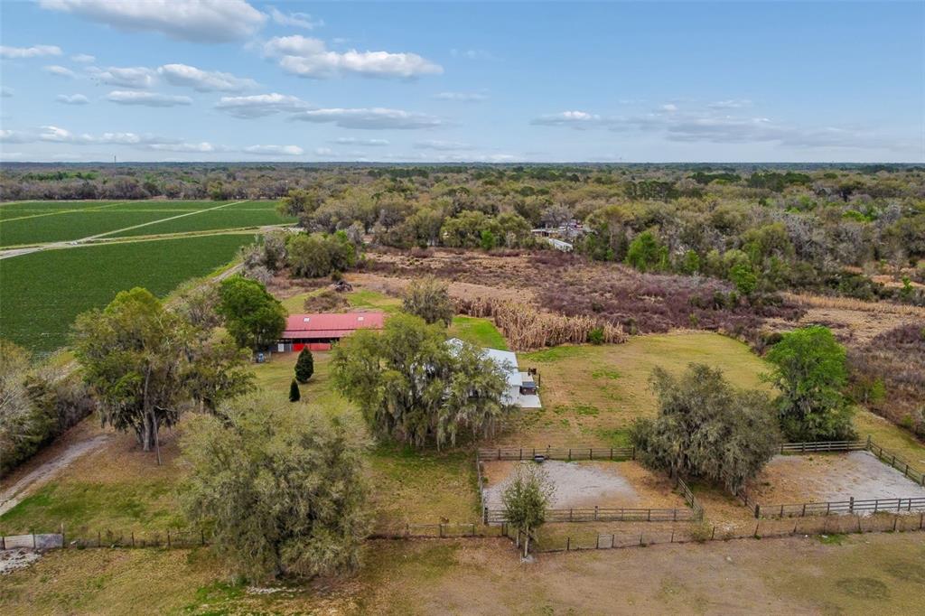 5614 Pless Road Plant City, FL 33565 - Photo 97 of 98
