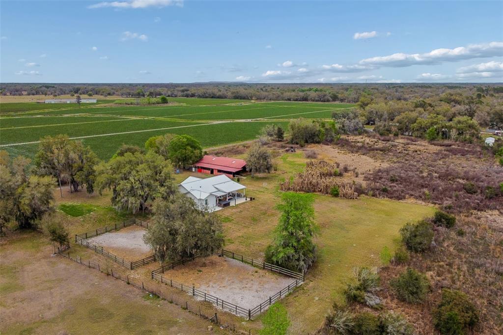 5614 Pless Road Plant City, FL 33565 - Photo 98 of 98