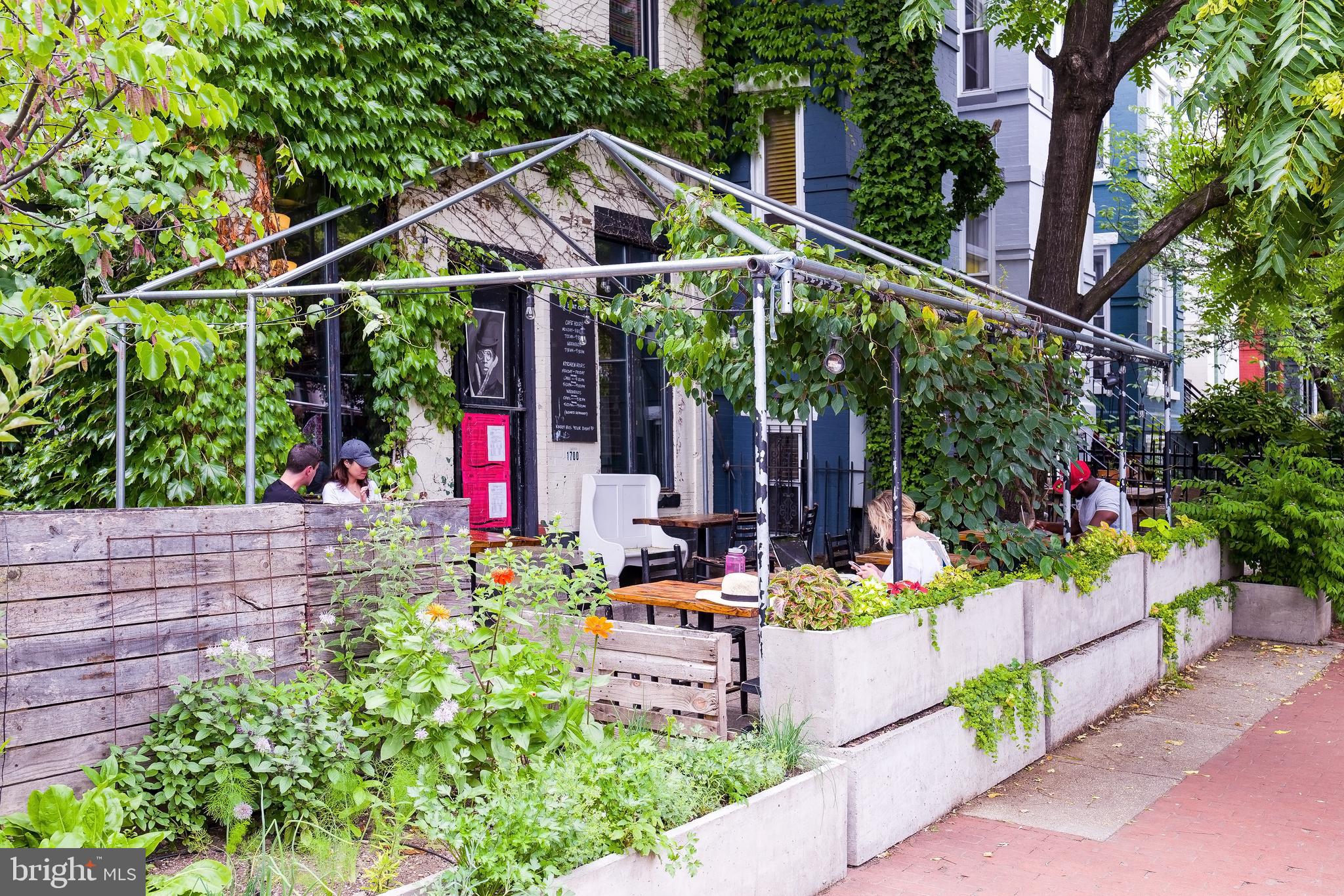 2026 North Capitol Street Northwest, Unit 1 Washington, DC 20002 - Photo 51 of 53 Big Bear Cafe