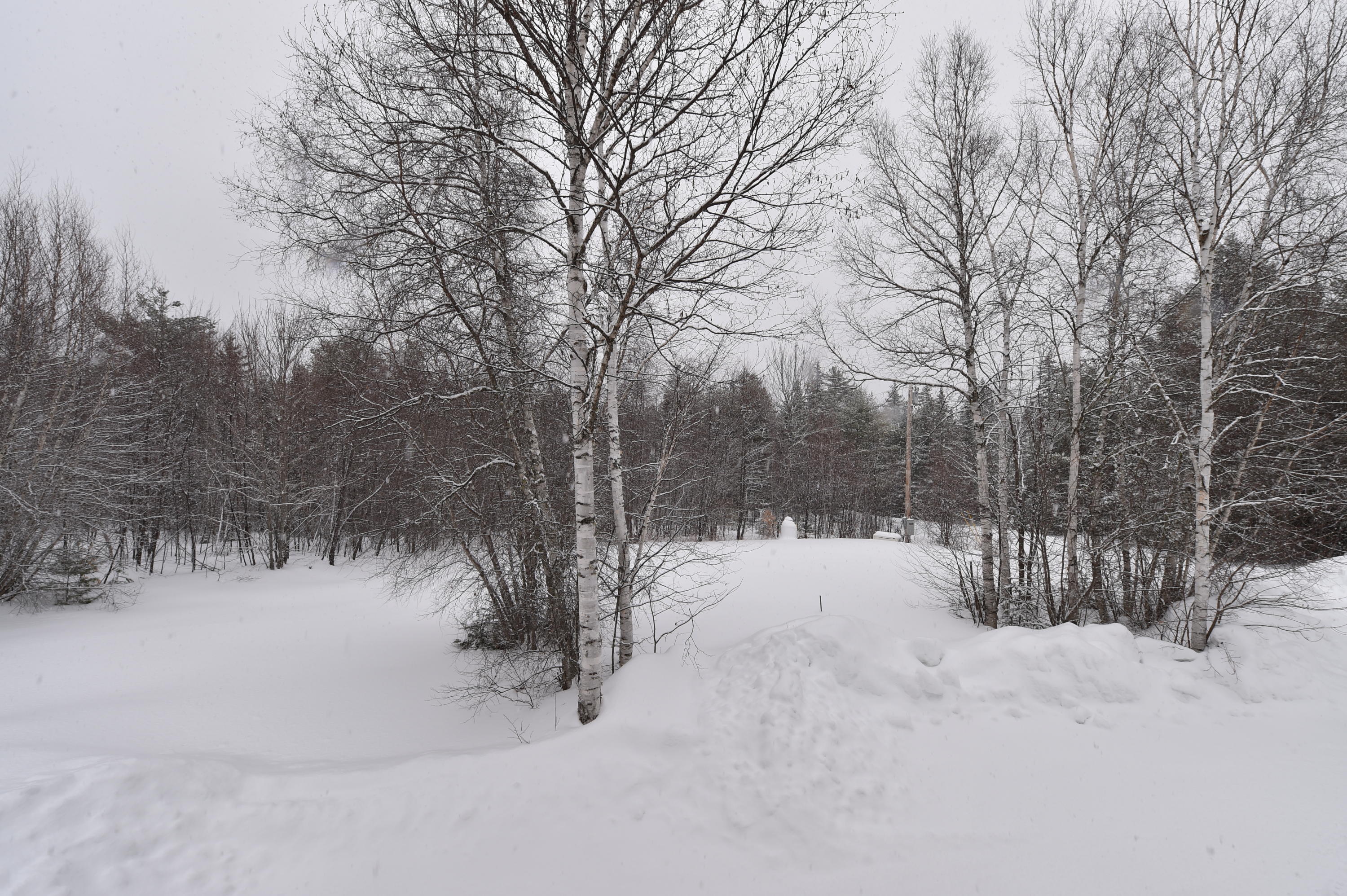 645 Transalpine Road Lincoln, ME 04457 - Photo 40 of 42 DSC_4267
