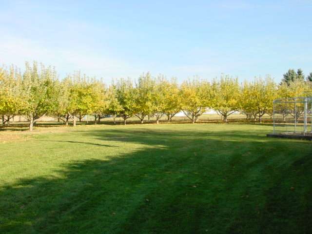 10107 East Greenbluff Road Mead, WA 99021 - Photo 4 of 9 Gallery Image 4