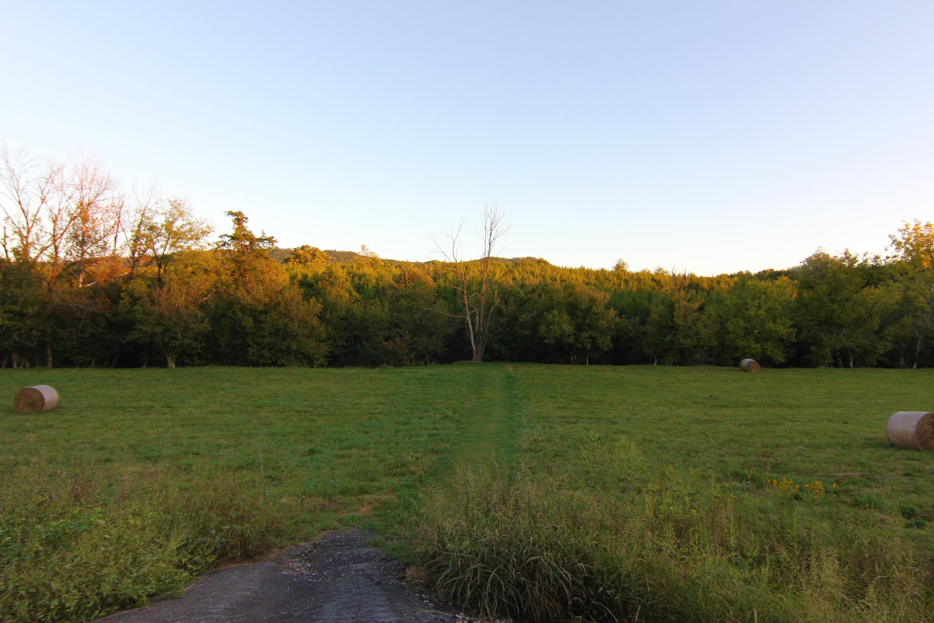 Clinch Valley Road Powder Springs, TN 37848 - Photo 2 of 7 IMG_5924