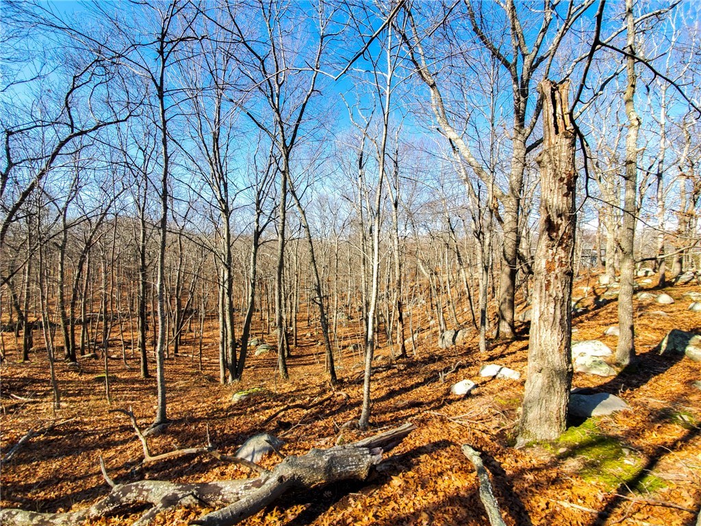 18 Tom Harvey Road Westerly, RI 02891 - Photo 4 of 8