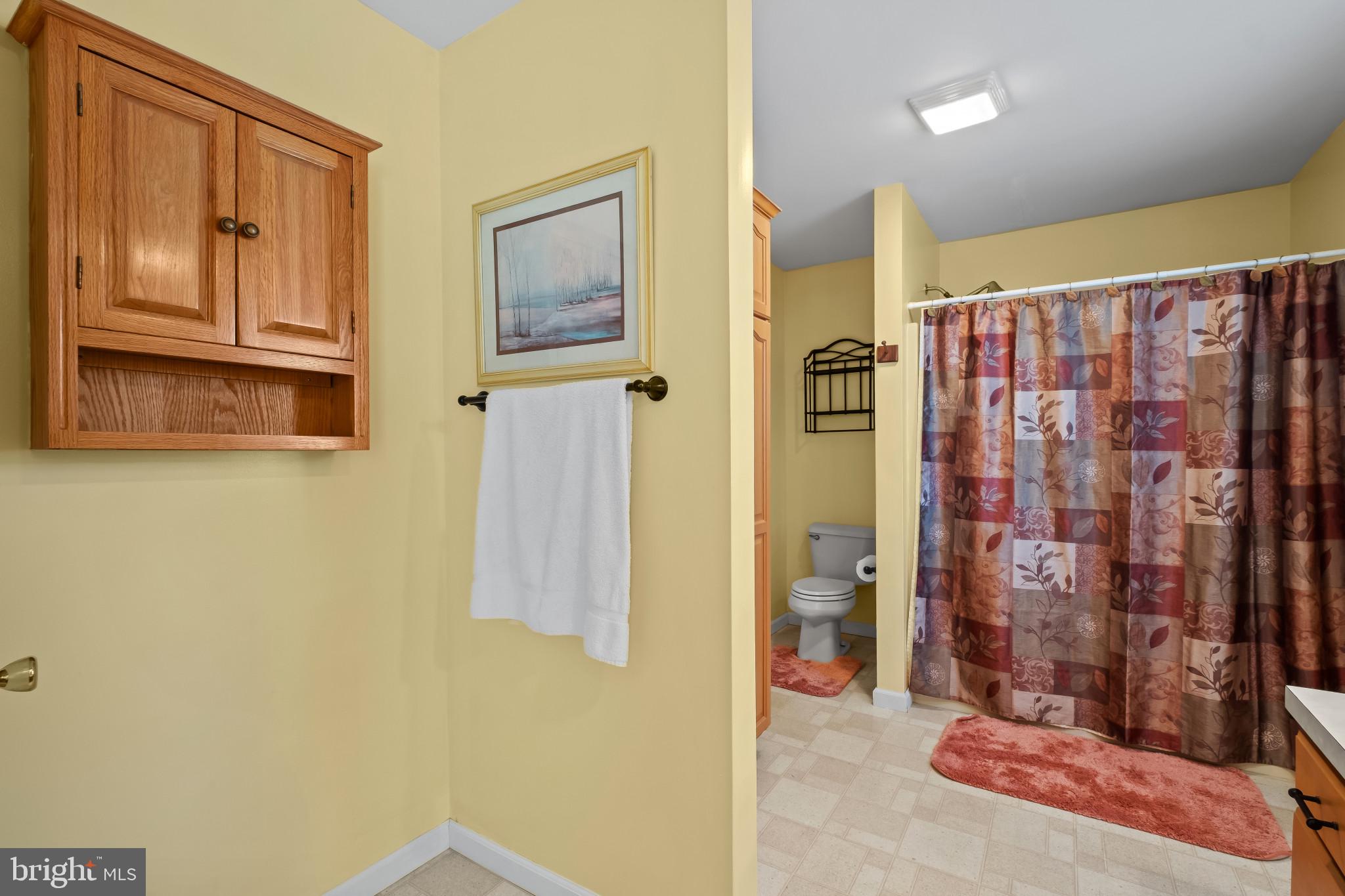 55 Wallace Lane Camden, DE 19934 - Photo 21 of 44 primary bathroom