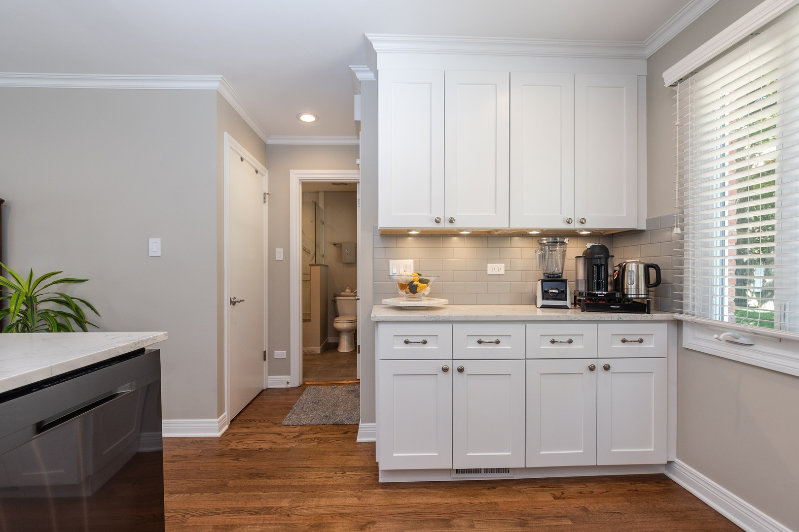 1041 Meadow Road Northbrook, IL 60062 - Photo 4 of 12