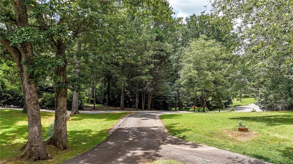 548 Tamarack Trail Canton, GA 30115 - Photo 23 of 83 a view of a garden with trees