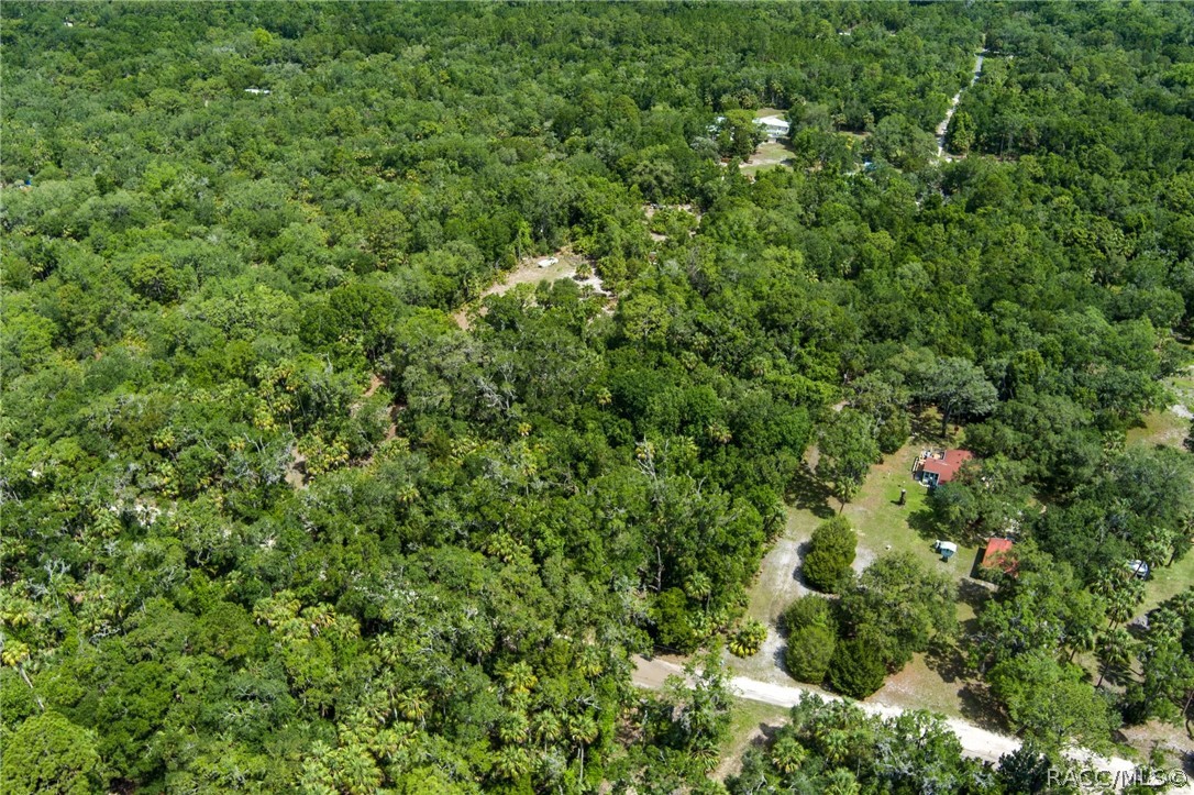 15085 West Rooster Crows Road Inglis, FL 34449 - Photo 4 of 16