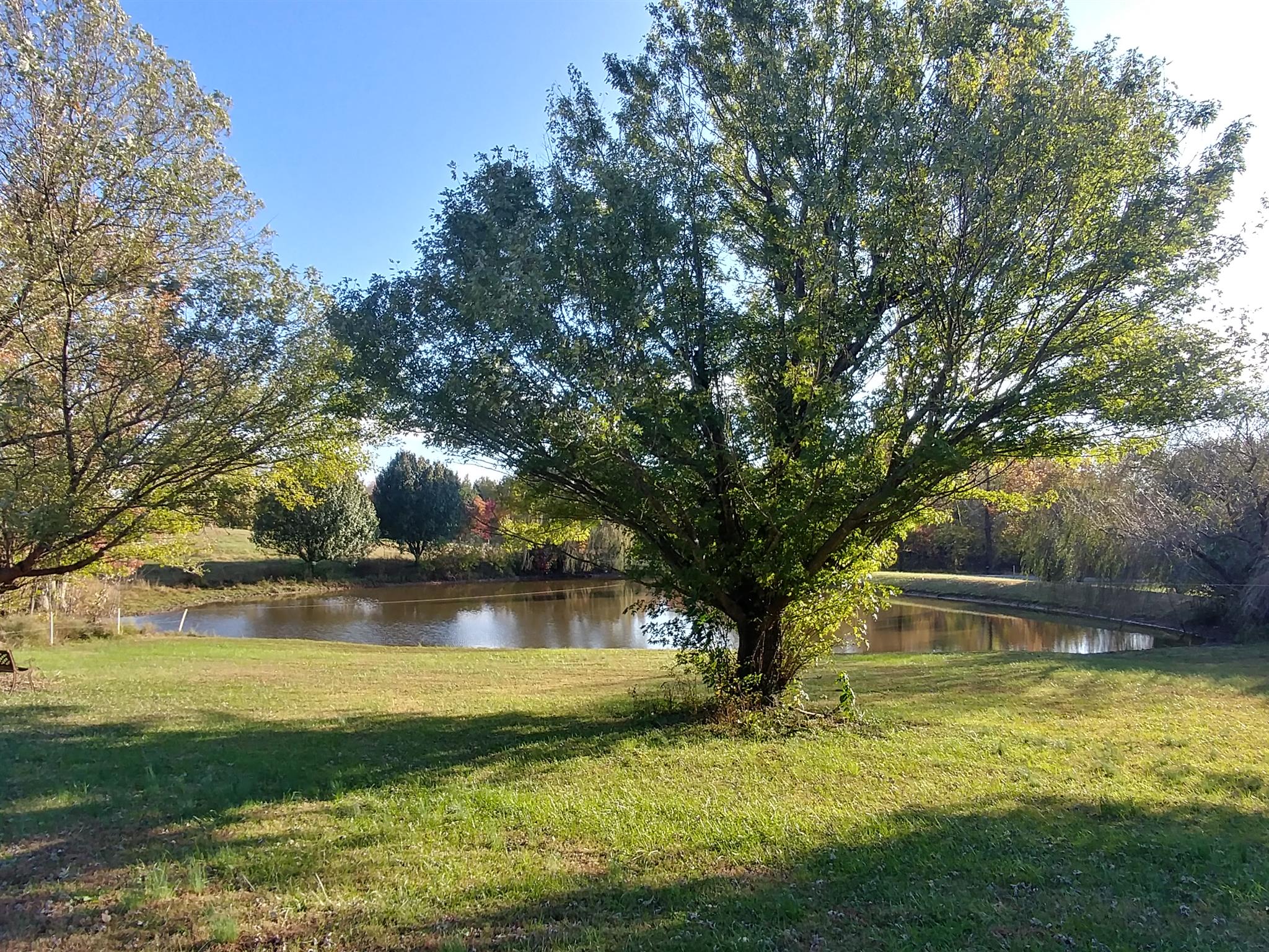 316 White Road Portland, TN 37148 - Photo 14 of 16 a view of swimming pool with deck and tree