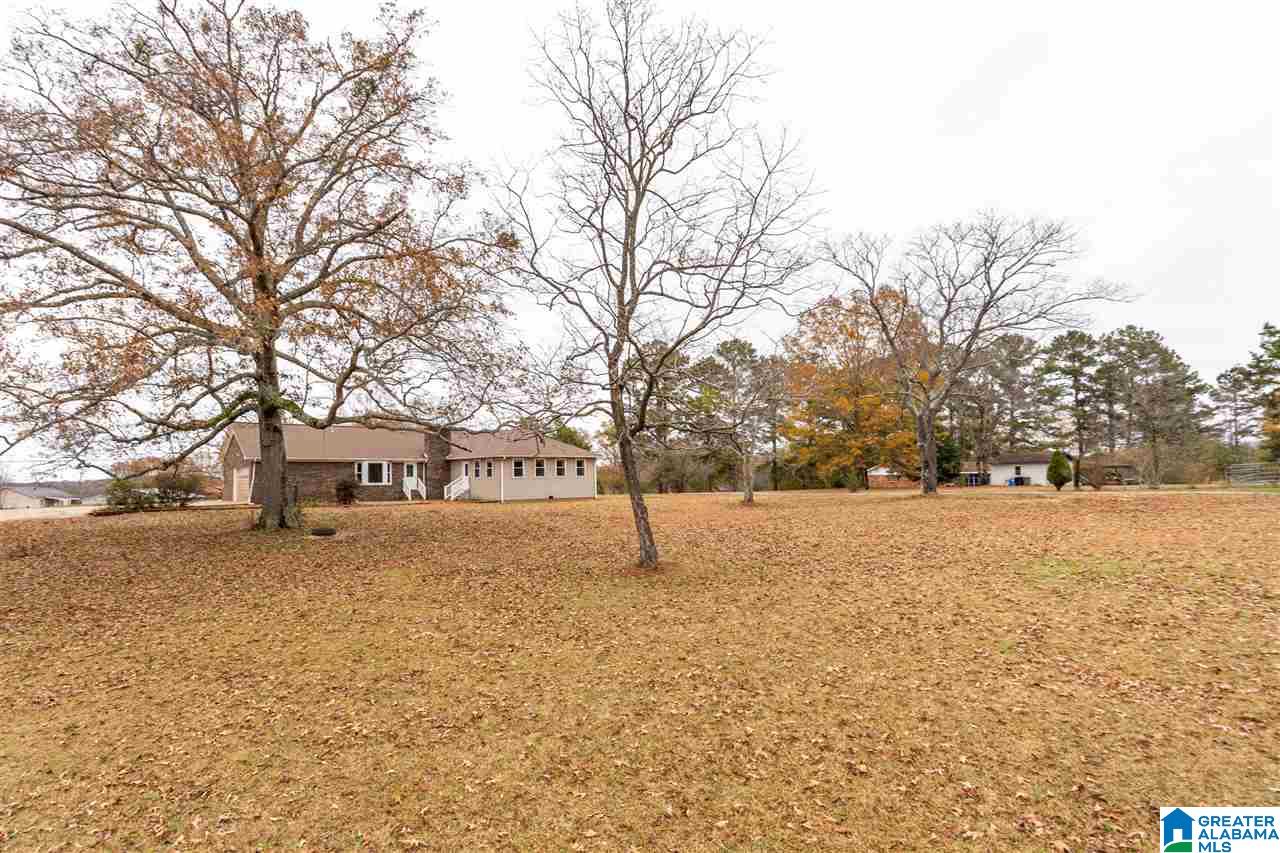 1531 Peaceful Valley Road Eastaboga, AL 36260 - Photo 33 of 40