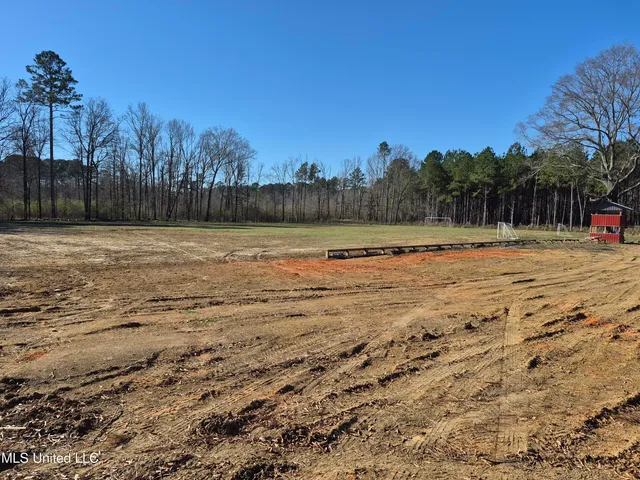 $250,000 | Fountain Drive, Forest, MS 39074