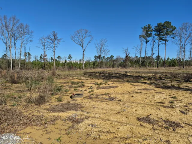$250,000 | Fountain Drive, Forest, MS 39074