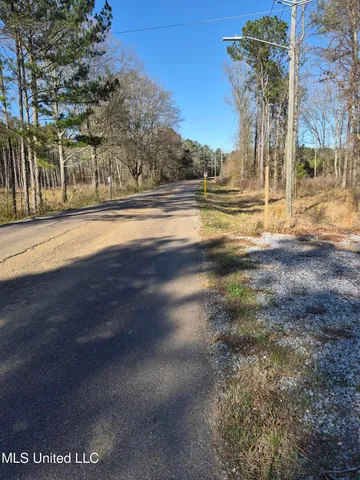 $250,000 | Fountain Drive, Forest, MS 39074