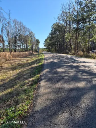 $250,000 | Fountain Drive, Forest, MS 39074