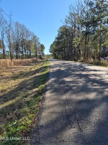 $250,000 | Fountain Drive, Forest, MS 39074