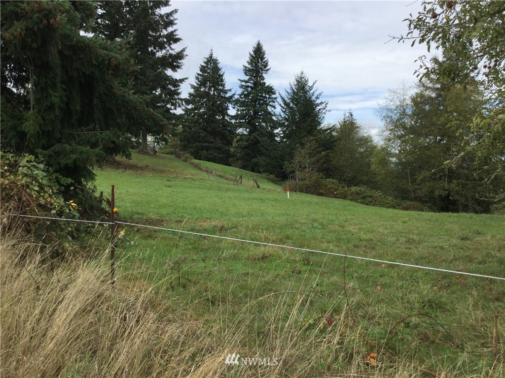 1753 Holcomb Road Kelso, WA 98626 - Photo 11 of 19 Gallery Image 11