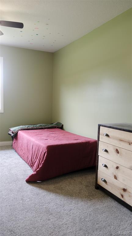 3215 Timber Ridge Road Palmyra, MO 63461 - Photo 51 of 75