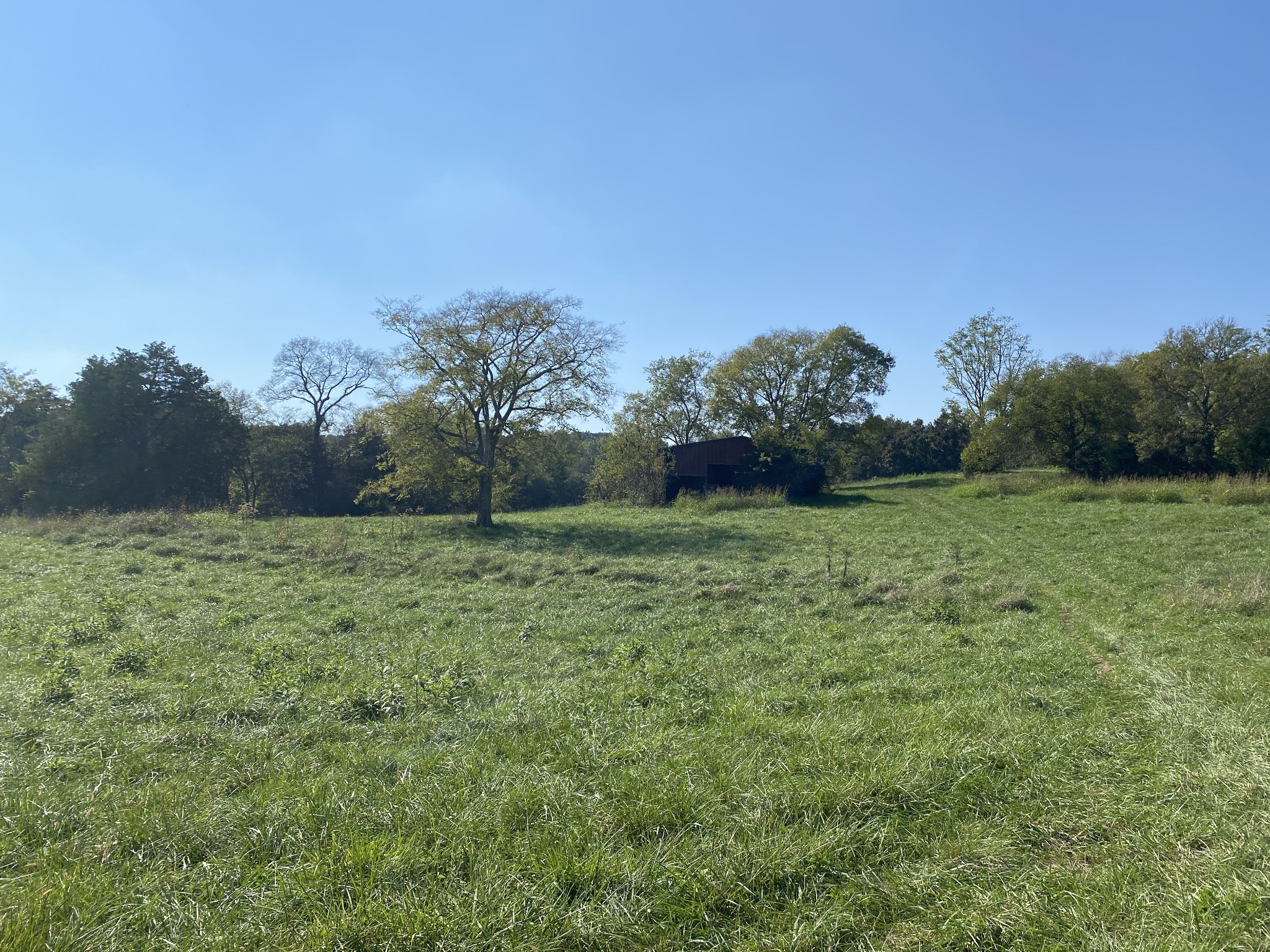 0 Borum Road Watertown, TN 37184 - Photo 4 of 9 a view of a field