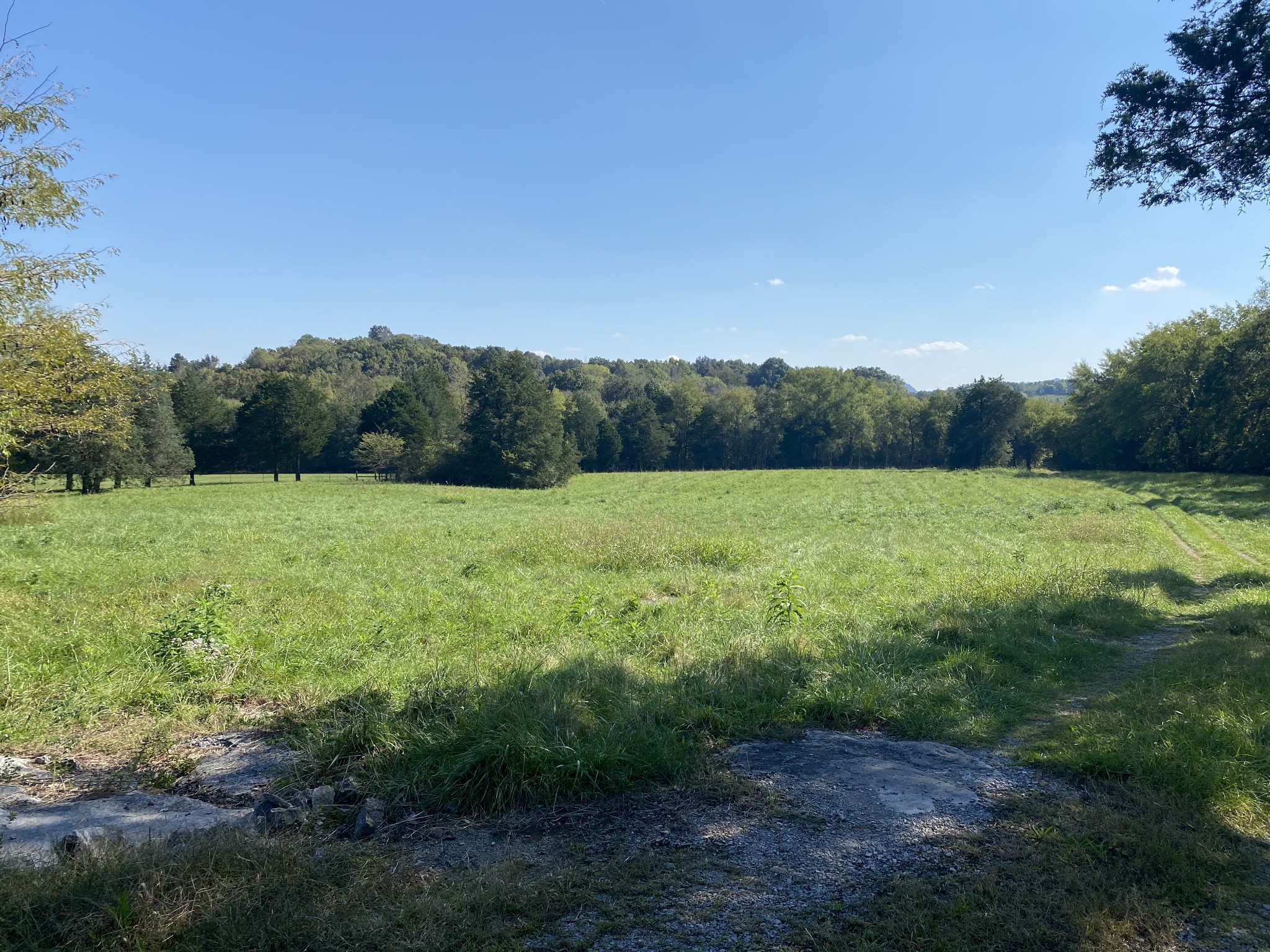 0 Borum Road Watertown, TN 37184 - Photo 6 of 9 a view of a field with a tree in the background
