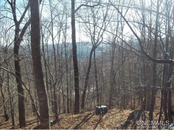 755 Camp Hill Road Mill Spring, NC 28756 - Photo 14 of 24