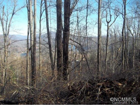 755 Camp Hill Road Mill Spring, NC 28756 - Photo 22 of 24