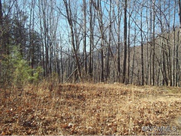 755 Camp Hill Road Mill Spring, NC 28756 - Photo 23 of 24