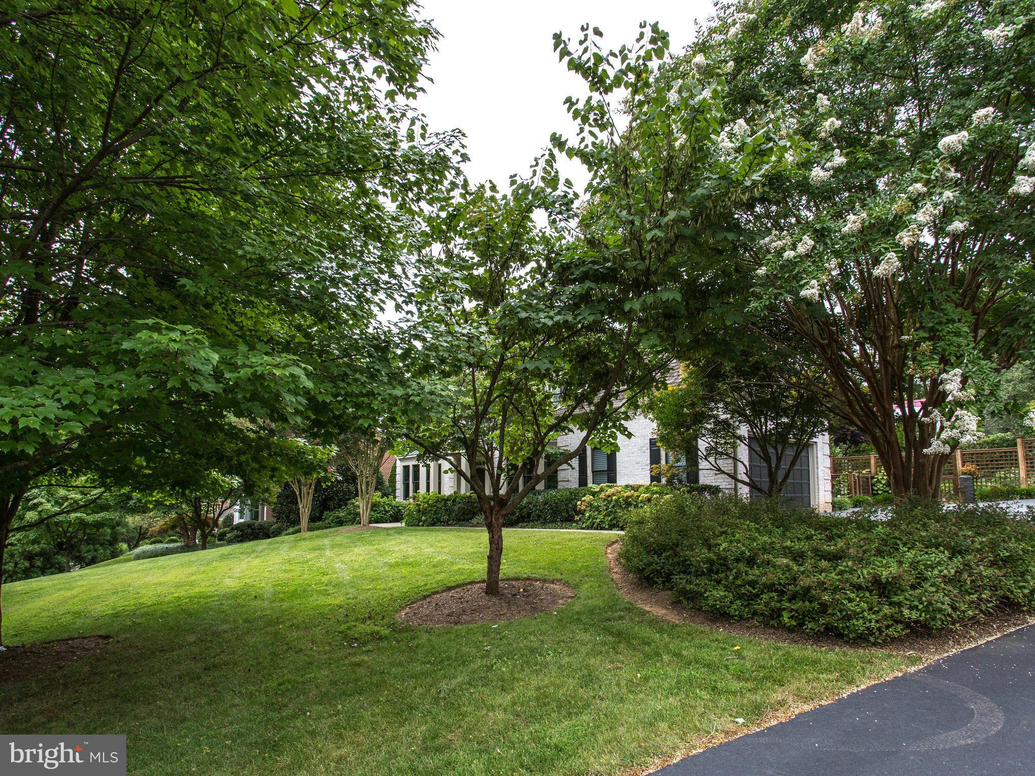 1338 Kirby Road McLean, VA 22101 - Photo 3 of 30 a view of a park with a tree