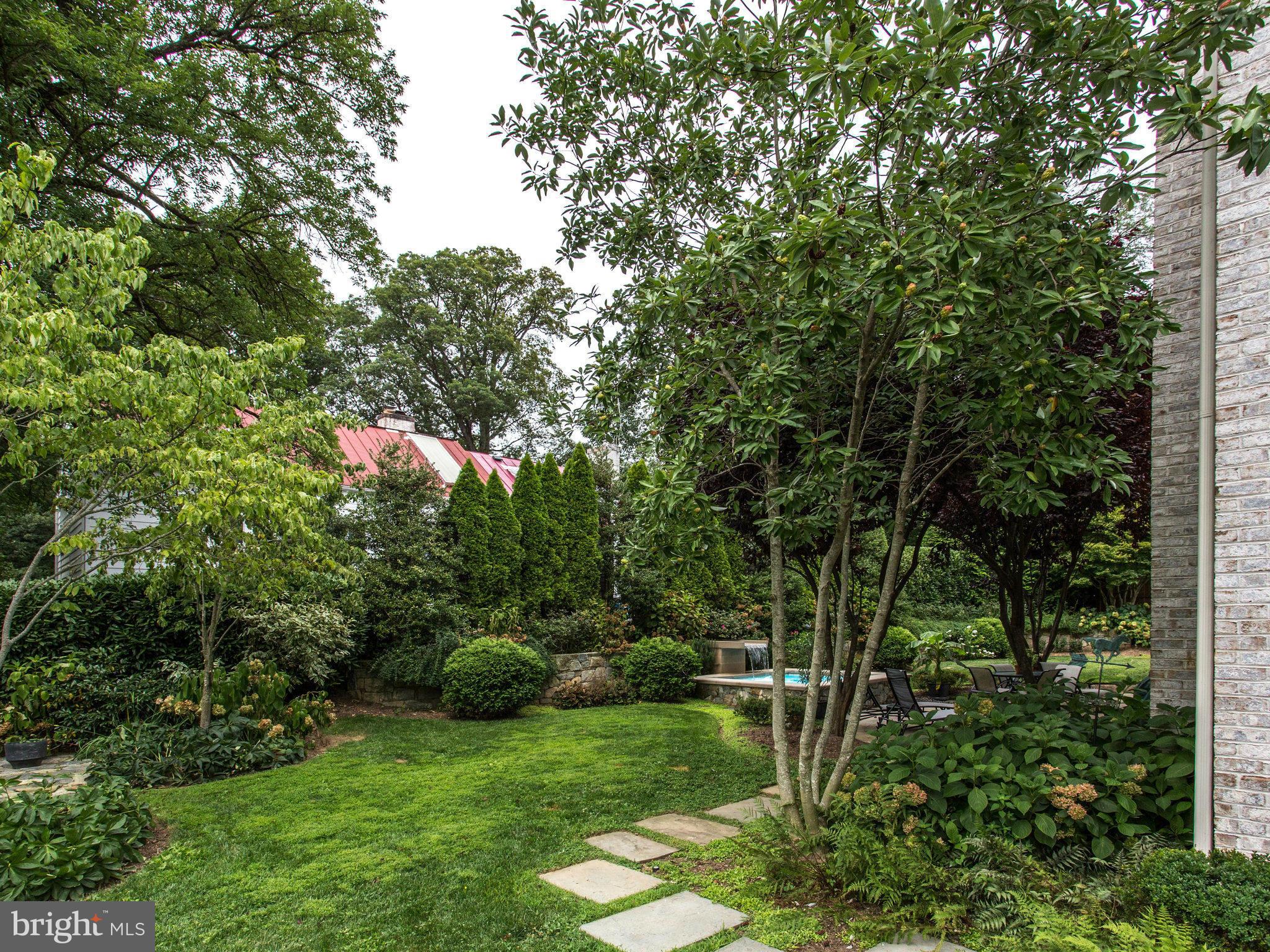 1338 Kirby Road McLean, VA 22101 - Photo 28 of 30 a view of a lush green forest
