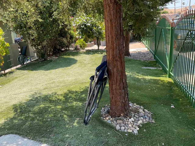 a view of a garden with a tree