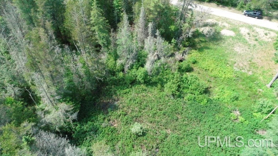 Tbd West Beach Road Naubinway, MI 49762 - Photo 13 of 45
