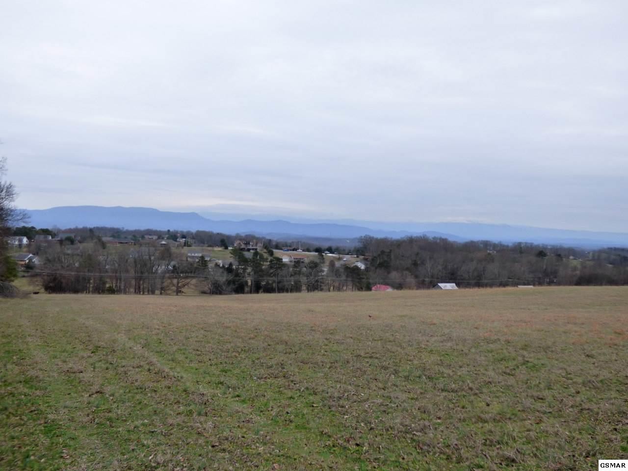 4 Valley Home Road Dandridge, TN 37725 - Photo 18 of 30 Gallery Image 18