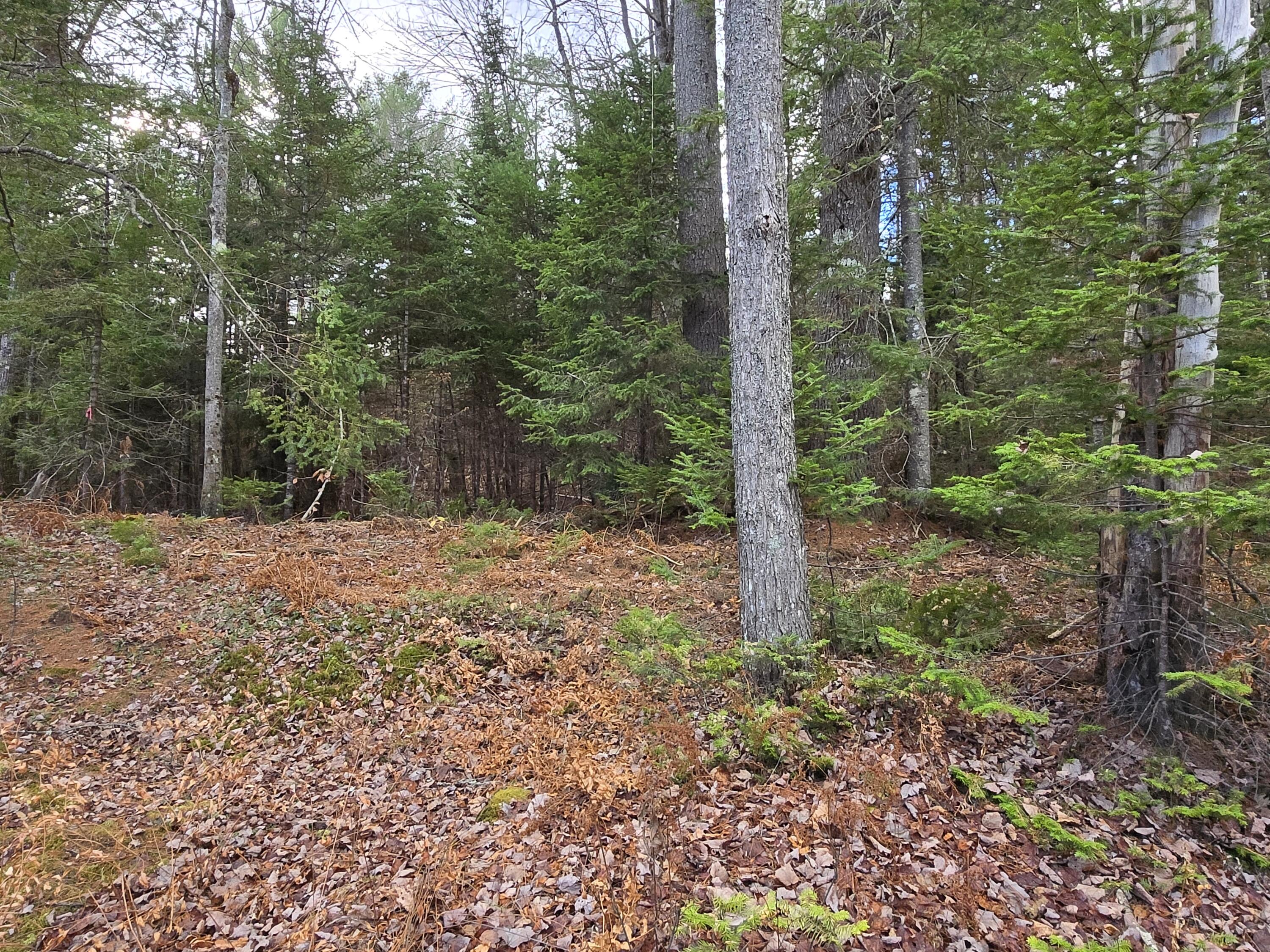 432 Plains Road Harrison, ME 04040 - Photo 15 of 23 13