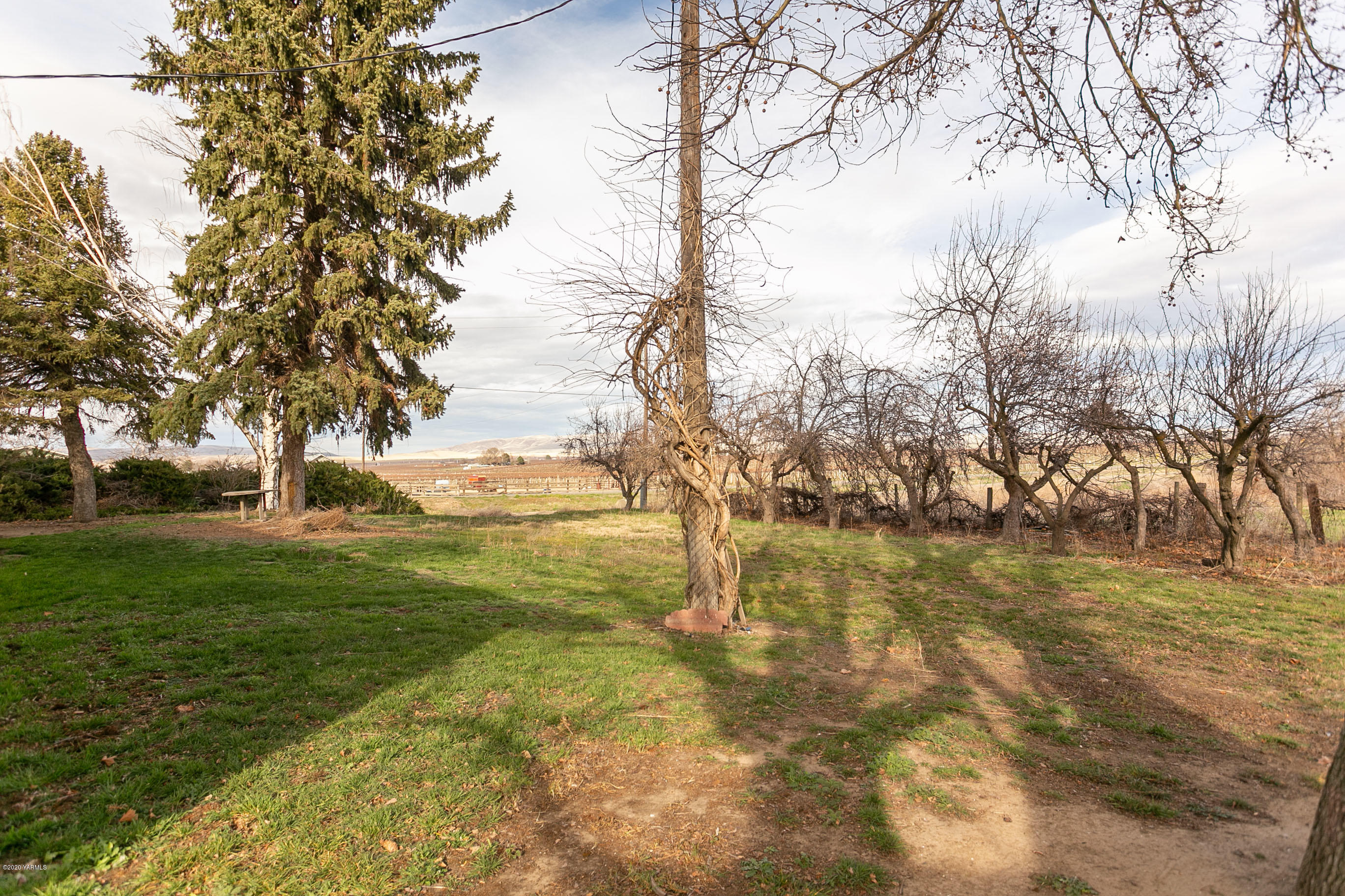 2240 Washout Road Sunnyside, WA 98944 - Photo 24 of 31 a view of yard with trees