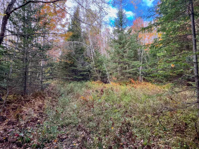 $214,900 | 0 West Main Street, Lunenburg, VT 05906