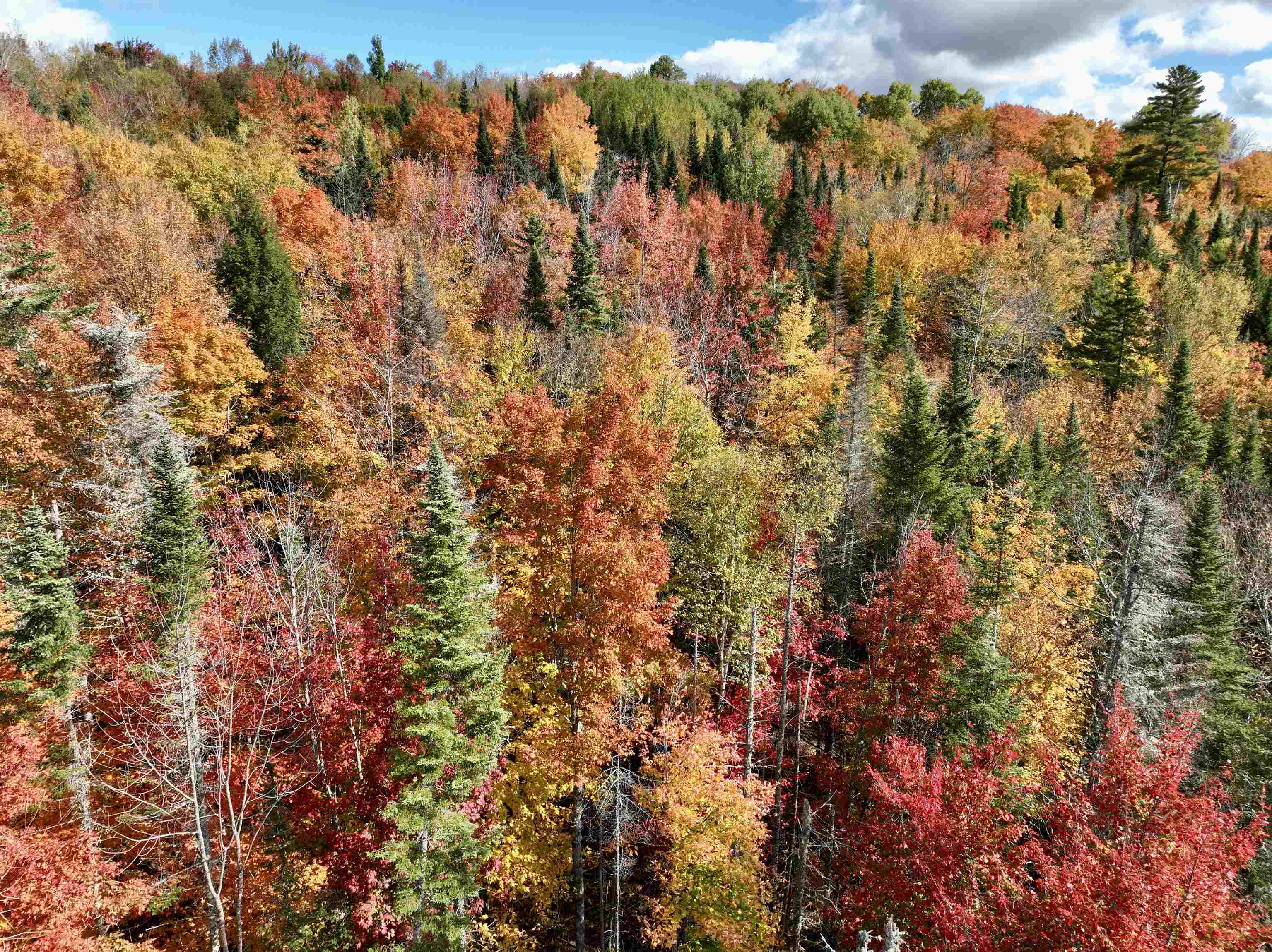 0 West Main Street Lunenburg, VT 05906 - Photo 13 of 15