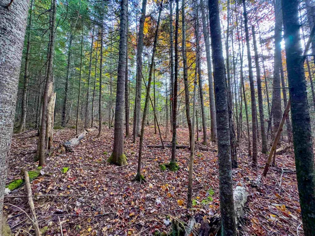 $214,900 | 0 West Main Street, Lunenburg, VT 05906